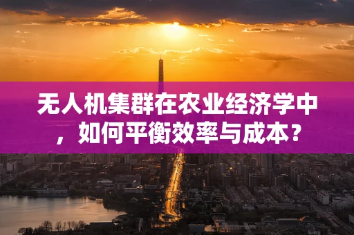 无人机集群在农业经济学中，如何平衡效率与成本？