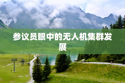 参议员眼中的无人机集群发展