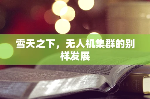 雪天之下，无人机集群的别样发展