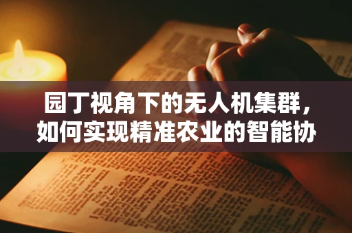 园丁视角下的无人机集群，如何实现精准农业的智能协同？