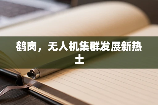 鹤岗，无人机集群发展新热土