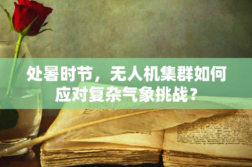 处暑时节，无人机集群如何应对复杂气象挑战？