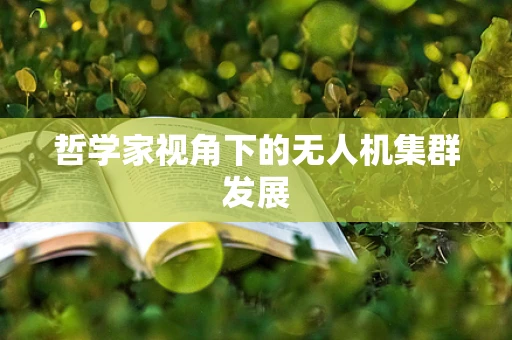 哲学家视角下的无人机集群发展