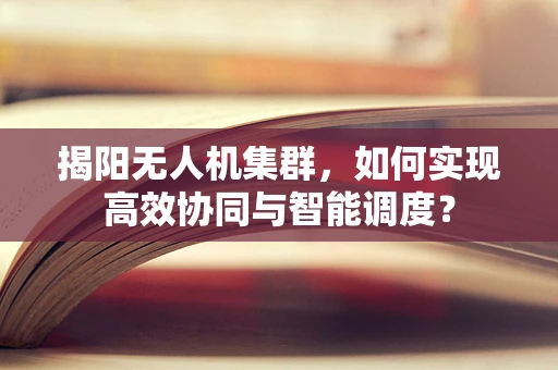 揭阳无人机集群，如何实现高效协同与智能调度？