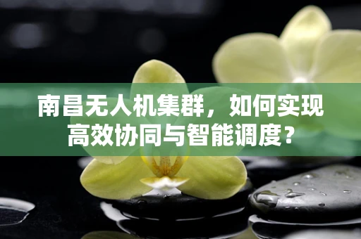 南昌无人机集群，如何实现高效协同与智能调度？