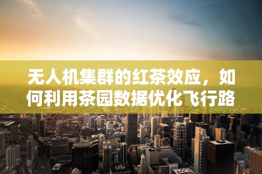 无人机集群的红茶效应，如何利用茶园数据优化飞行路径？