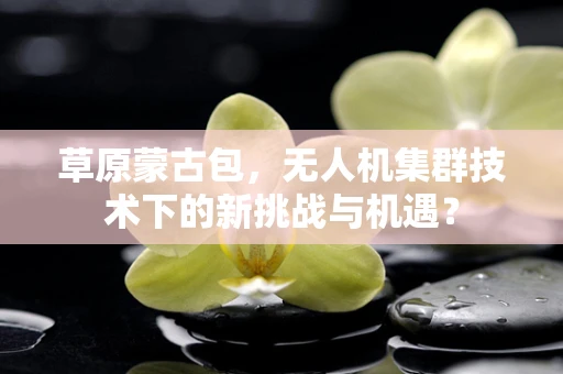 草原蒙古包，无人机集群技术下的新挑战与机遇？