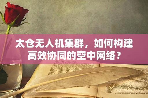 太仓无人机集群，如何构建高效协同的空中网络？