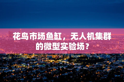 花鸟市场鱼缸，无人机集群的微型实验场？
