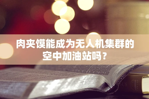 肉夹馍能成为无人机集群的空中加油站吗？