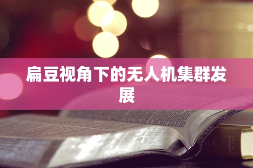 扁豆视角下的无人机集群发展