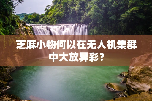 芝麻小物何以在无人机集群中大放异彩？