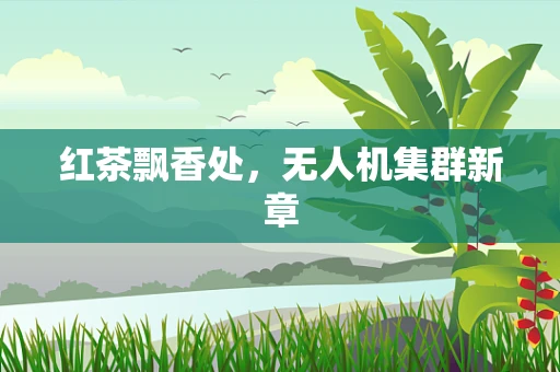 红茶飘香处，无人机集群新章