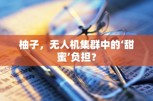 柚子，无人机集群中的‘甜蜜’负担？