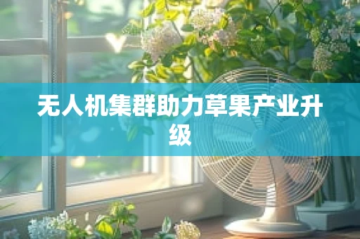 无人机集群助力草果产业升级