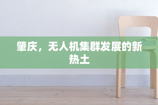 肇庆，无人机集群发展的新热土