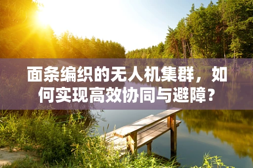 面条编织的无人机集群，如何实现高效协同与避障？