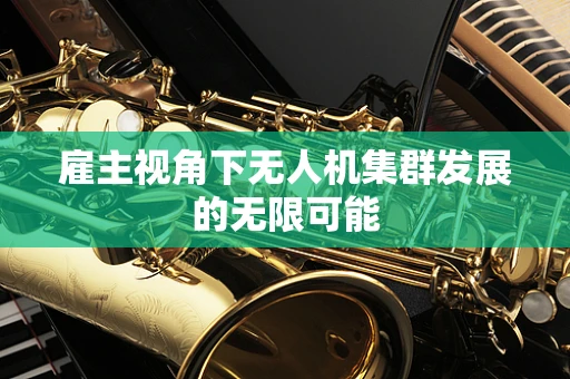 雇主视角下无人机集群发展的无限可能