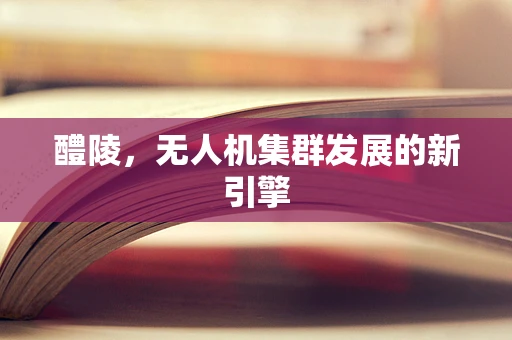 醴陵，无人机集群发展的新引擎