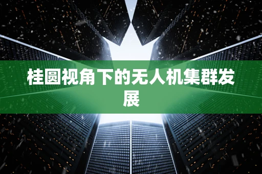 桂圆视角下的无人机集群发展