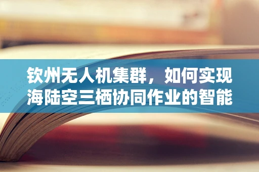 钦州无人机集群，如何实现海陆空三栖协同作业的智能网络？
