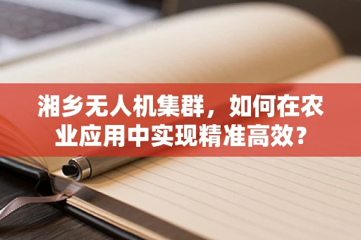 湘乡无人机集群，如何在农业应用中实现精准高效？