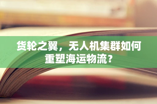 货轮之翼，无人机集群如何重塑海运物流？