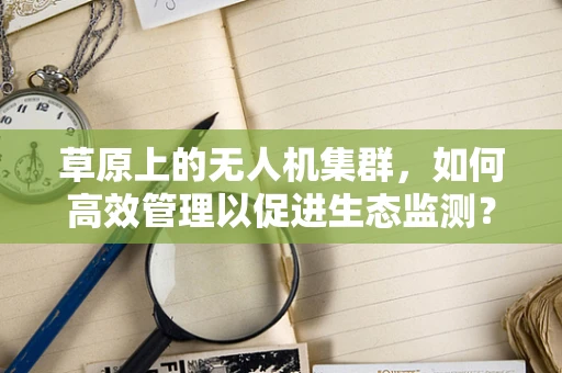 草原上的无人机集群，如何高效管理以促进生态监测？