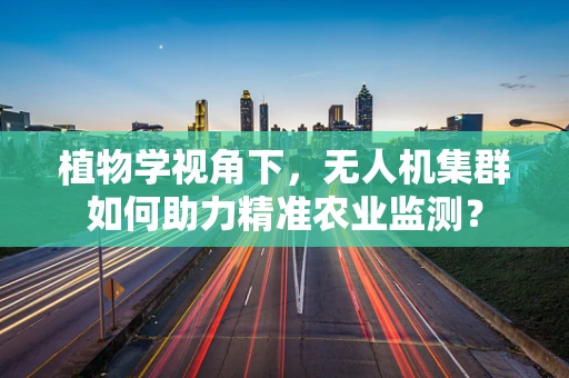 植物学视角下，无人机集群如何助力精准农业监测？
