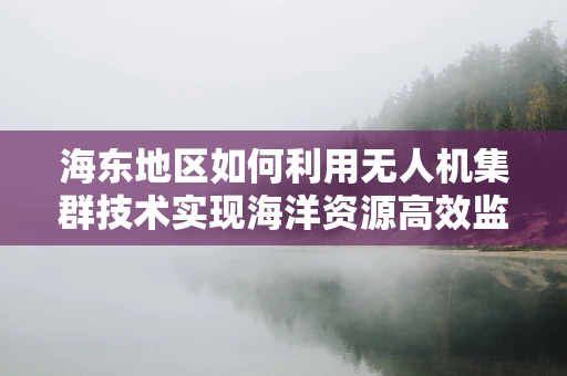 海东地区如何利用无人机集群技术实现海洋资源高效监测？