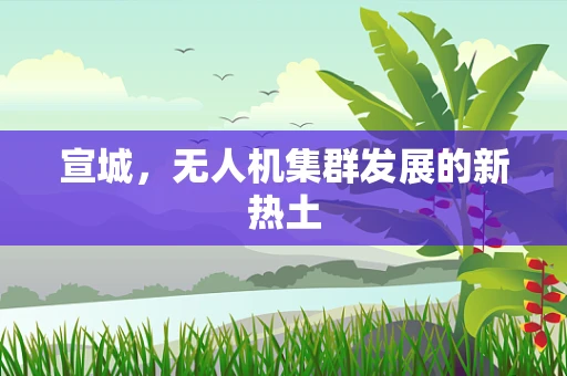 宣城，无人机集群发展的新热土