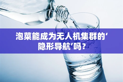 泡菜能成为无人机集群的‘隐形导航’吗？