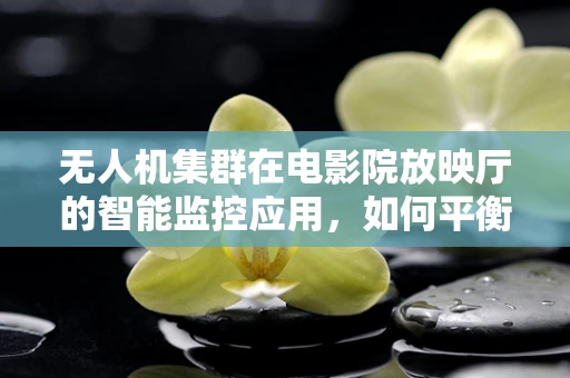 无人机集群在电影院放映厅的智能监控应用，如何平衡隐私与安全？