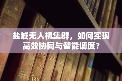 盐城无人机集群，如何实现高效协同与智能调度？