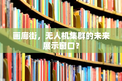 画廊街，无人机集群的未来展示窗口？