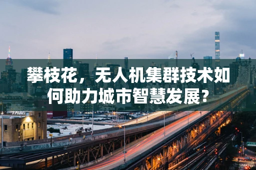 攀枝花，无人机集群技术如何助力城市智慧发展？