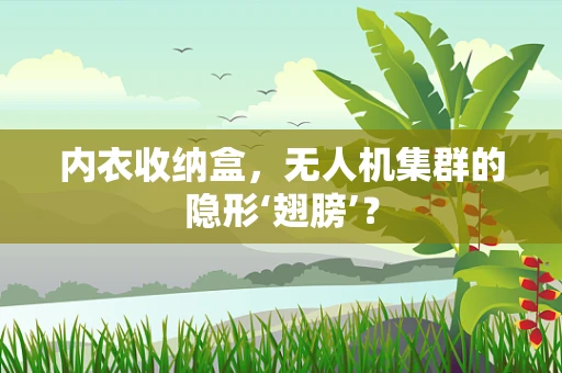 内衣收纳盒，无人机集群的隐形‘翅膀’？