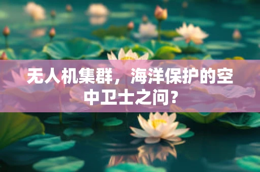 无人机集群，海洋保护的空中卫士之问？