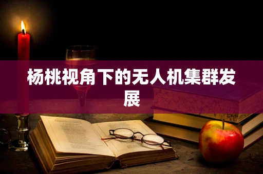 杨桃视角下的无人机集群发展