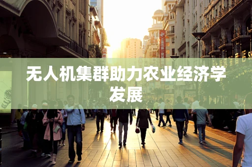 无人机集群助力农业经济学发展