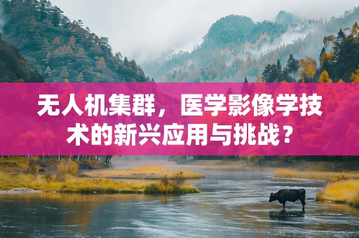 无人机集群，医学影像学技术的新兴应用与挑战？