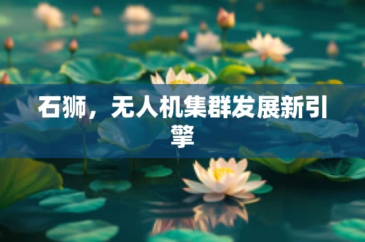 石狮，无人机集群发展新引擎