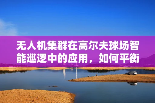 无人机集群在高尔夫球场智能巡逻中的应用，如何平衡隐私与效率？