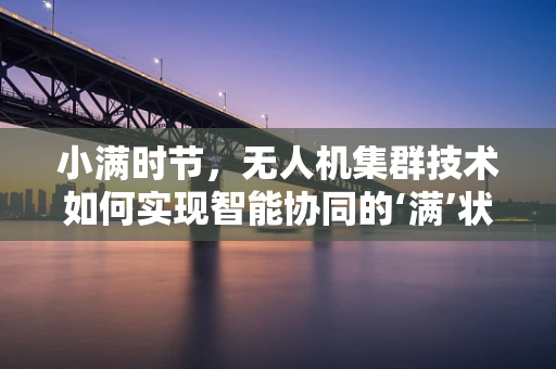 小满时节，无人机集群技术如何实现智能协同的‘满’状态？