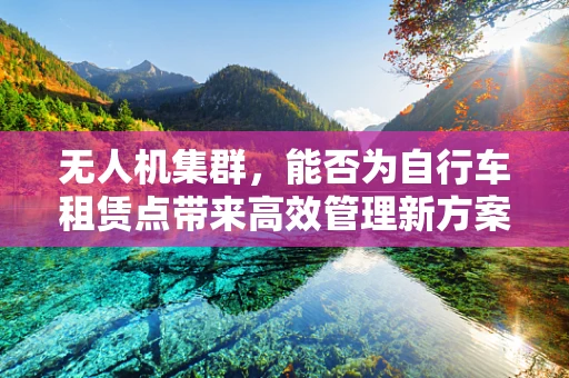 无人机集群，能否为自行车租赁点带来高效管理新方案？