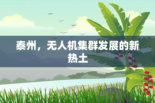 泰州，无人机集群发展的新热土