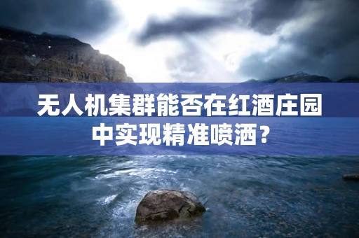 无人机集群能否在红酒庄园中实现精准喷洒？
