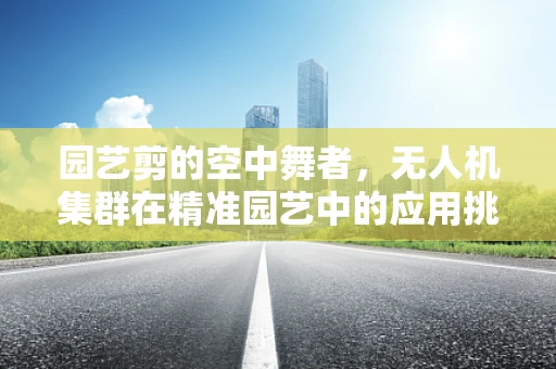 园艺剪的空中舞者，无人机集群在精准园艺中的应用挑战
