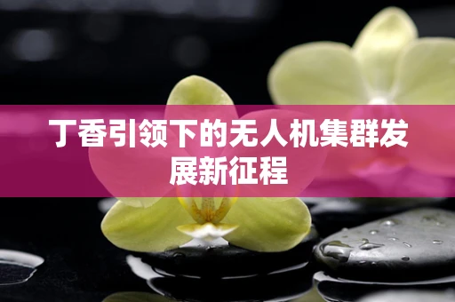 丁香引领下的无人机集群发展新征程