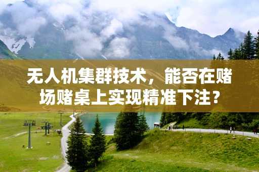 无人机集群技术，能否在赌场赌桌上实现精准下注？
